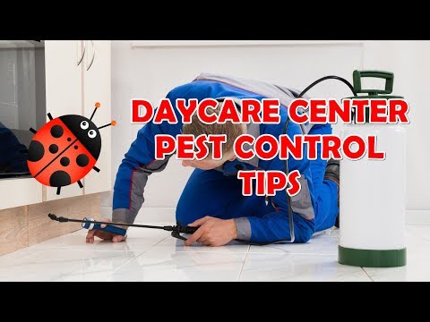Advice On Daycare Center Pest Control - TLCSchools Plano TX uploaded to TLCSchools.com Texas